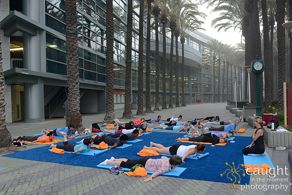 1297 OMED 2016-Yoga
