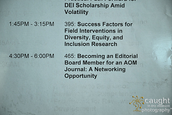 746 AOM 2024 Becoming an Editorial Board Member