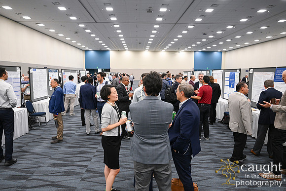 1419 IEEE PES TandD Anaheim 2024