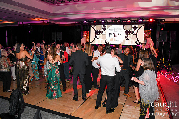 519 Imagine Gala 2024