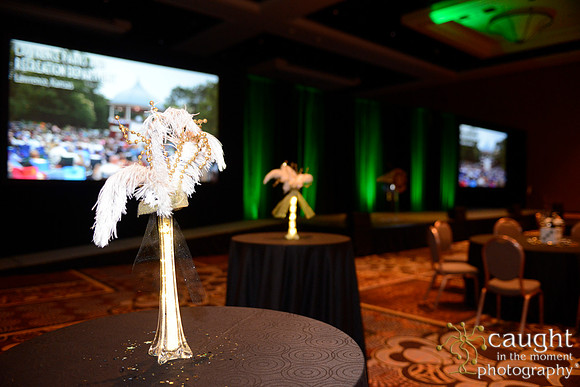 270 NRPA 2015 Gold Medal Reception