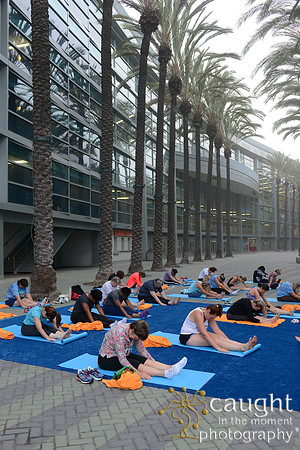 1296 OMED 2016-Yoga