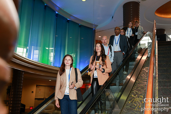 472 APEX IFSA GlobalExpo2024