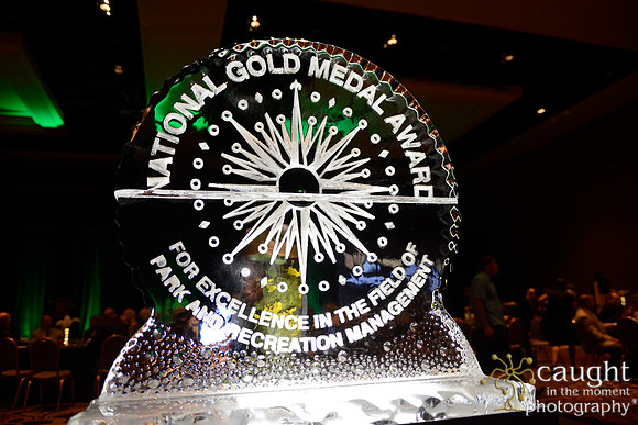 260 NRPA 2015 Gold Medal Reception