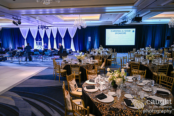 035 Foundation Gala 2024