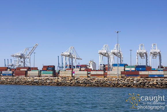 488 NAFTZ Spring Conference 2024 in Long Beach