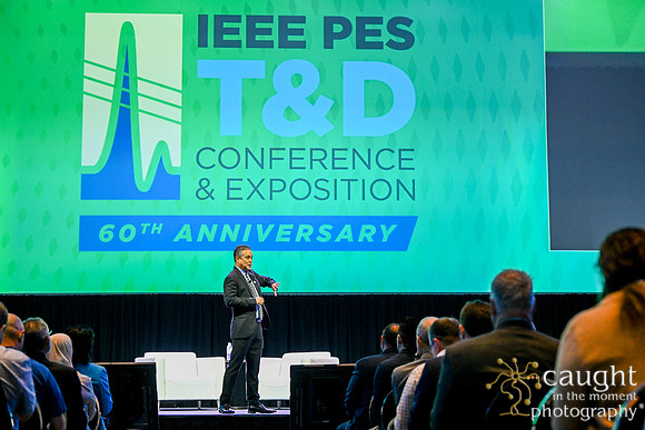 252 IEEE PES TandD Anaheim 2024