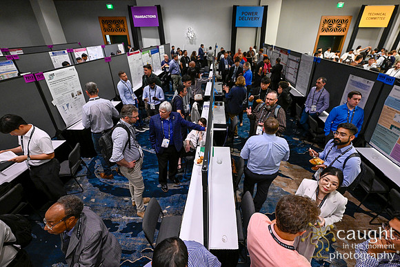 308 IEEE PES General Meeting 2025 Austin