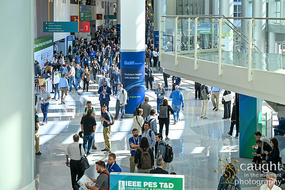 828 IEEE PES TandD Anaheim 2024
