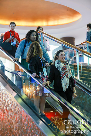 471 APEX IFSA GlobalExpo2024