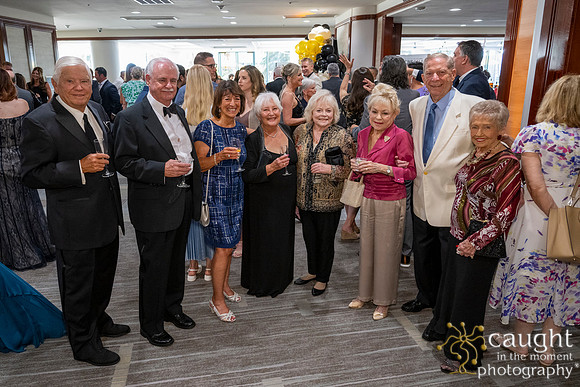 253 Imagine Gala 2024