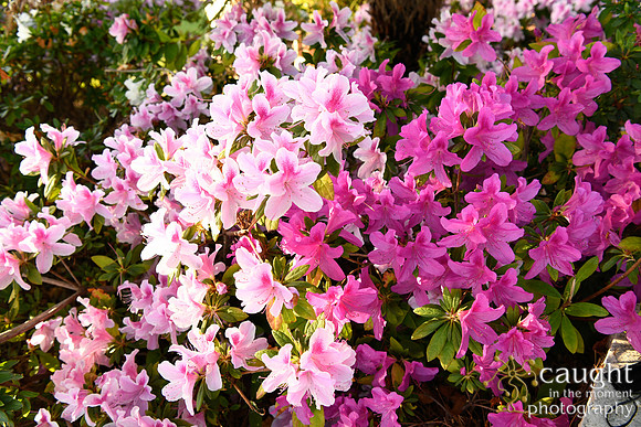 256 Castellon Wedding at Wayfarers Chapel and Long Beach Museum of Art
