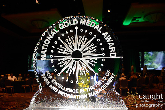 261 NRPA 2015 Gold Medal Reception