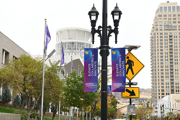 006 AHIMA 2024 Salt Lake City
