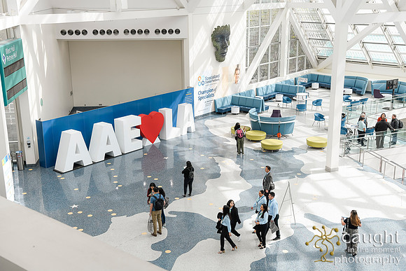 013 AAE 2024 in Los Angeles - Registration & Signage