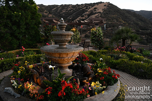 110 Peterson Family Portraits in Corona