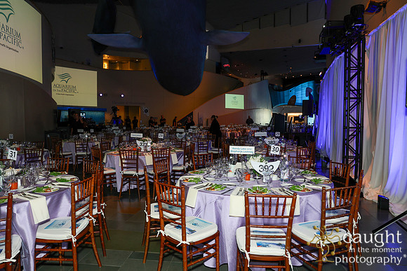 127 Aquarium of the Pacific Blue Whale Gala and After Party 2025