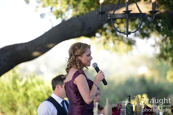 750 Solvang Wedding