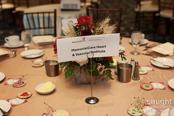 009 Memorial Medical Center Foundation Appreciation Luncheon 2024