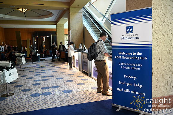 046 AOM 2024 Registration & Networking Hubs