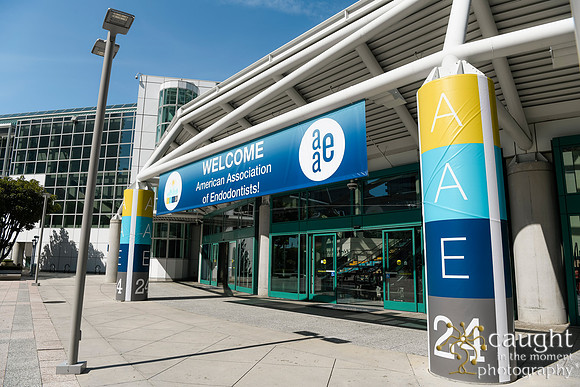 007 AAE 2024 in Los Angeles - Registration & Signage