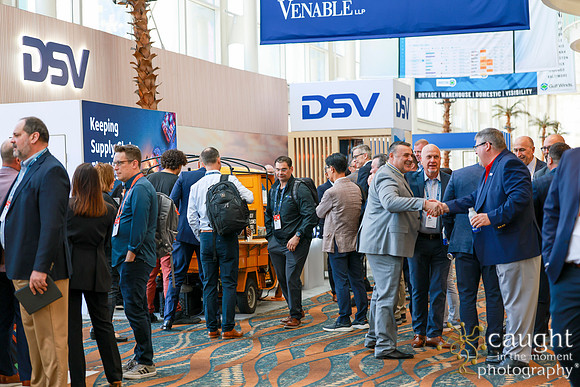 047 DSV at TPM25