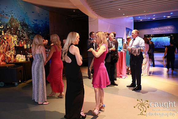 283 Aquarium of the Pacific Blue Whale Gala and After Party 2025