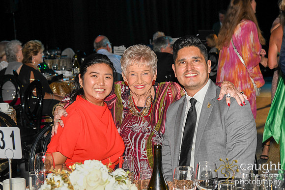287 Imagine Gala 2024