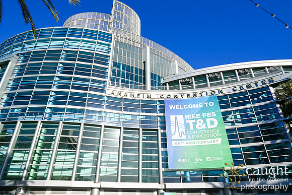 010 RUSH IEEE PES TandD Anaheim 2024