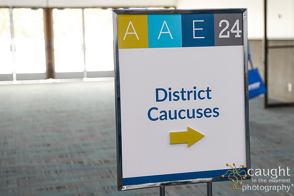 1017 AAE 2024 in Los Angeles - District Caucuses