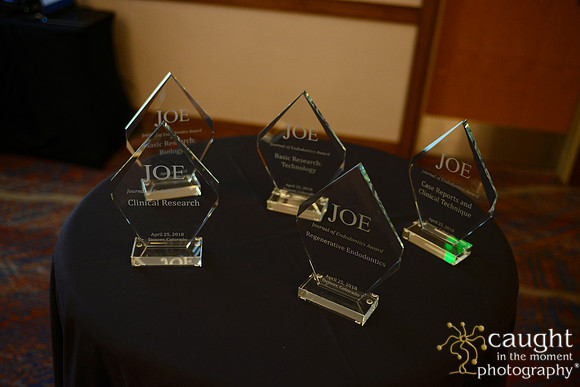 840 AAE 2018 in Denver-JOE Awards