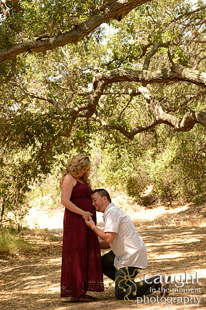 29 Maternity Portraits