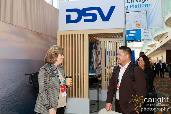 067 DSV at TPM25
