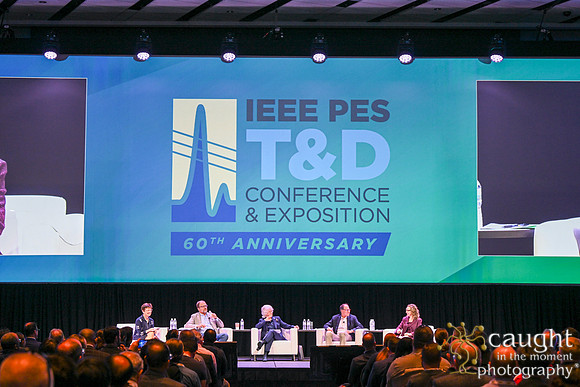 1496 IEEE PES TandD Anaheim 2024