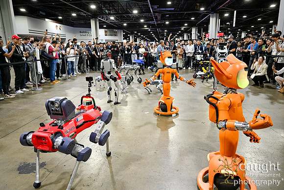 1414 IEEE ICRA 2025 Atlanta