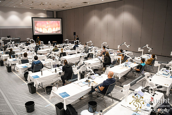 567 AAE 2024 in Los Angeles - Hand-On Sessions