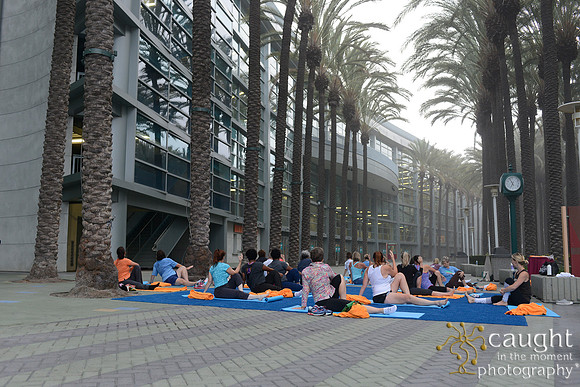 1294 OMED 2016-Yoga