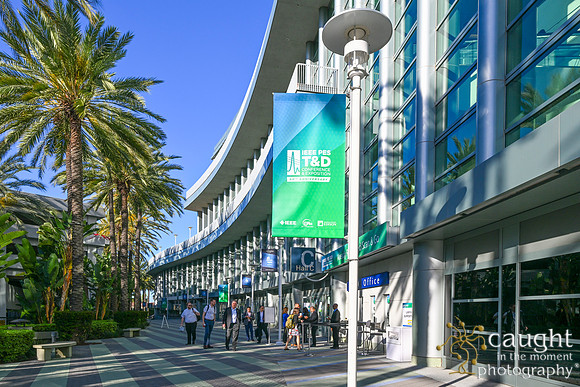 008 IEEE PES TandD Anaheim 2024